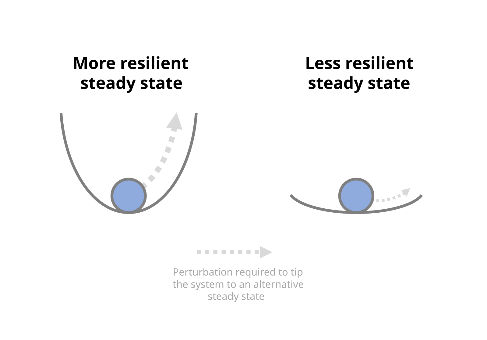 SelfManagement 5 Key Skills for Everyone Learning Programming
